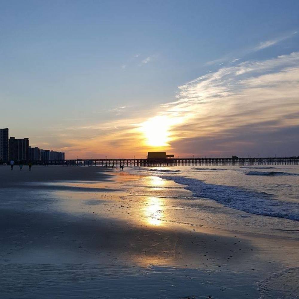 Meet your Posher, Michele